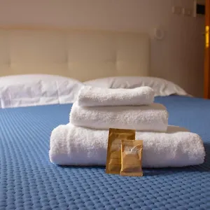Hotel Oasi San Francesco, Rom